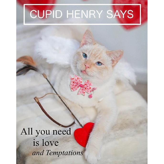 BoomBone Valentines Day Cat Bow Tie Collar Adjustable Breakaway Collar with Bells, Heart Bowtie Kitten Collar