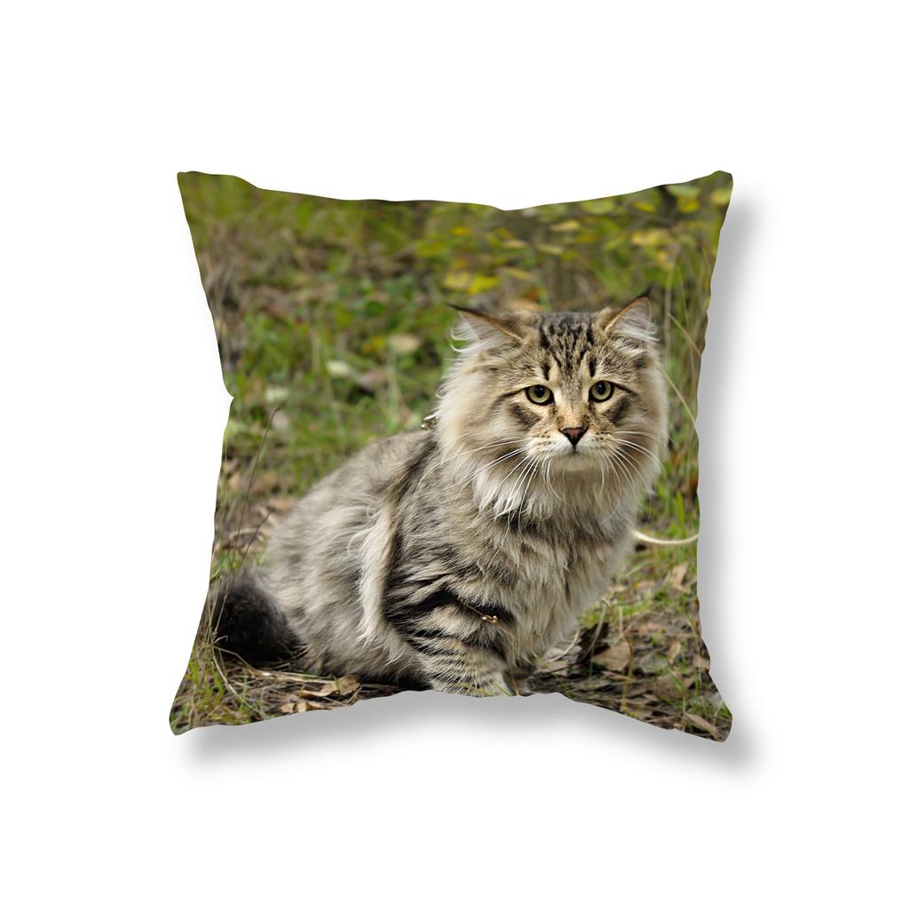 Cute Kitten Throw Pillowcase Sofa Party Decoration Office Game Chair Cushion Cover Room Bedside Home Decor Pillowcase 45x45cm