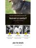 Tactical Adjustable Dog Collar & Leash - Outdoor Explosion-Proof Training Collar.