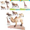 Wildlife Animal Model Set Pvc Camel Giraffe Educational Collectible For Kids Nature Learning