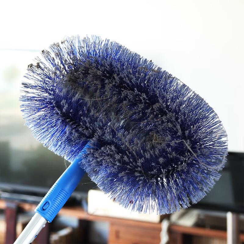 CT Shida Extendable Ring Ceiling Duster