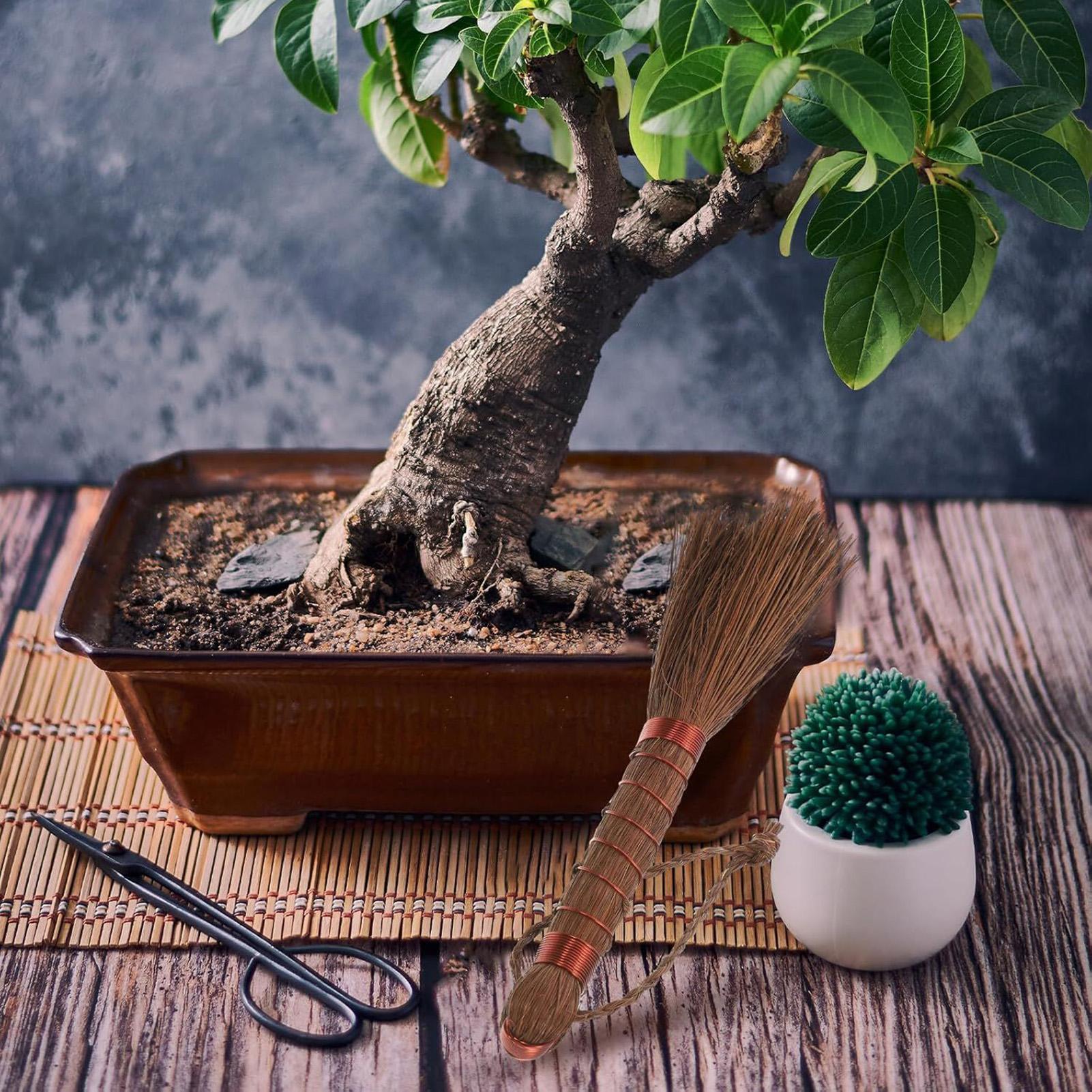 Coffee Cleaning Brush Small Broom Soil Care Tools Palm Fiber Tea Table Gardening Brush for Indoor Plant Potted Flower Coffee CN