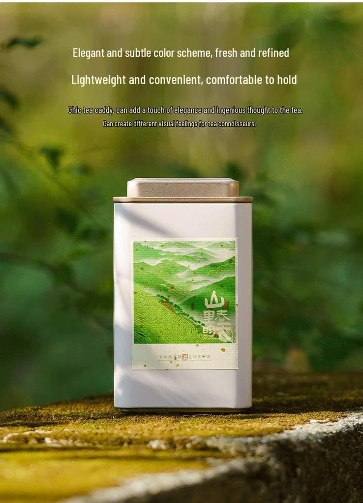 Eco-Friendly Green Tea Gift Box with Longjing, White Tea, Biluochun, Maojian, Cup & Iron