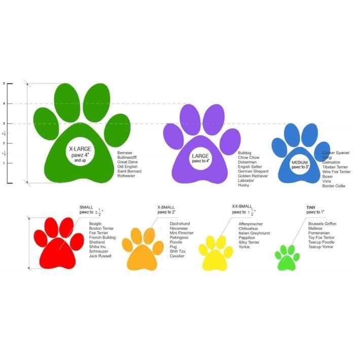 Bottes Pour Chien - PAWZ - Tiny - Vert Citron - Imperméable - Biodégradable