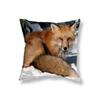 Cute Little Fox Throw Pillow Cover Animal Pillow Cover Sofa Car Decor Office Game Chair Cushion Cover Room Home Decor