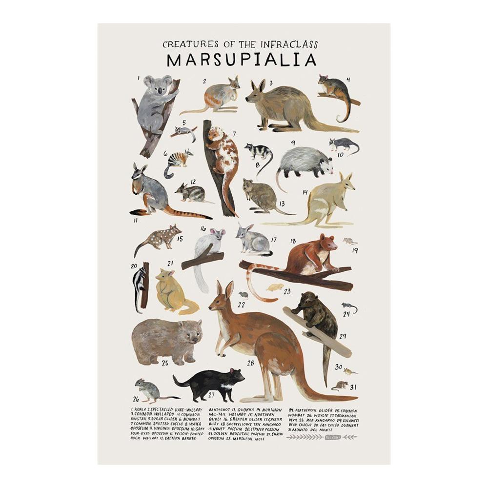 Abstract Marine Organisms Jellyfish Whale Squid Fishes Posters Canvas Painting and Prints Wall Art Picture for Room Home Decor