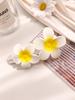 Summer Large Hair Clips Elegant Frosted Butterfly Flower Barrettes Women Beach Hawaii Floral Hairpins Simple Duckbill Headwear