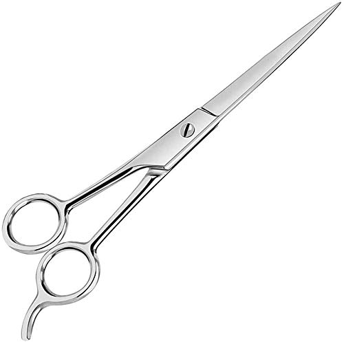 DANIAL 6.5" Hair Cutting Scissors for Professionals Salon Barber Scissors for Men Women - Stainless Steel Scissors/Shears