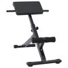 Hyperextension Bench Black 100.5 X 70 X 78 Cm