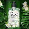 Lux Freesia Antibacterial Moisturizing Hand Wash