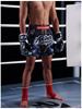 2025 Multi-Color Boxing & Muay Thai Shorts, European Fit, Competition & Training, Multi-Style
