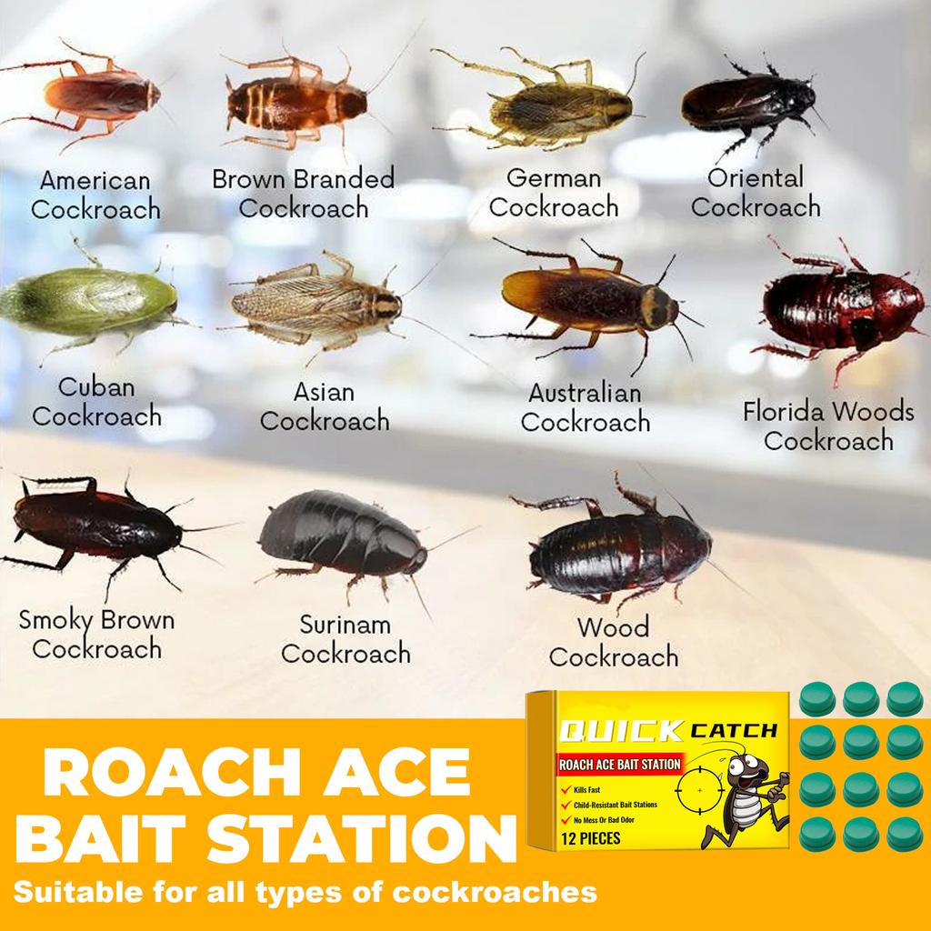 Gel na zabíjení švábů Domácí Obývací pokoj Kuchyně Gel na zabíjení švábů