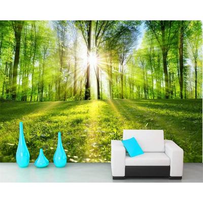 Mural Paisaje Escenario Natural Luz Solar Bosque Papel Pintado Pared de Fondo para Sofá TV Papel Pintado 3d