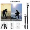 SmallRig Carbon Fiber Tripod with Center 12kg Weight 158cm Low Center of Panoramic Quick Professional Camera Tripod for Digital Cameras and Includes