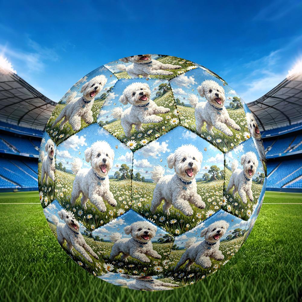 1pc Daisy Field Pup Theme Soccer Ball Football, Size 5, Lightweight PVC, Durable Outdoor Training Soccer Ball, Gift M61485