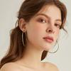 Classic Stainless Steel Big Circle Hoop Huggie Earrings for Women, 25mm/30mm/40mm/50mm/60mm/70mm