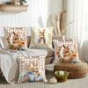 Easter Classic Cute Bunny Cushion Cover Soft Plush Pillow Cover DoubleSided Printed Sofa Cushion Summer Home Decor Gift