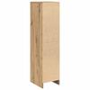 Standschrank, Aktenschrank fürs Arbeitszimmer, Flur-Aufbewahrungsschrank, Beistellschrank fürs Wohnzimmer, 29,5 x 34 x 119,5 cm