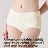 Large Size Women Spring and Autumn Cotton High Waist Belly Wrap Hip Antibacterial Extended Crotch Small Boxer Briefs
