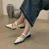 Women's Retro Pointed Toe Shoes High Quality Leather Shoes Mary Jane Shoes Woman New Shallow Buckle Strap Chunky Heel Sandalias