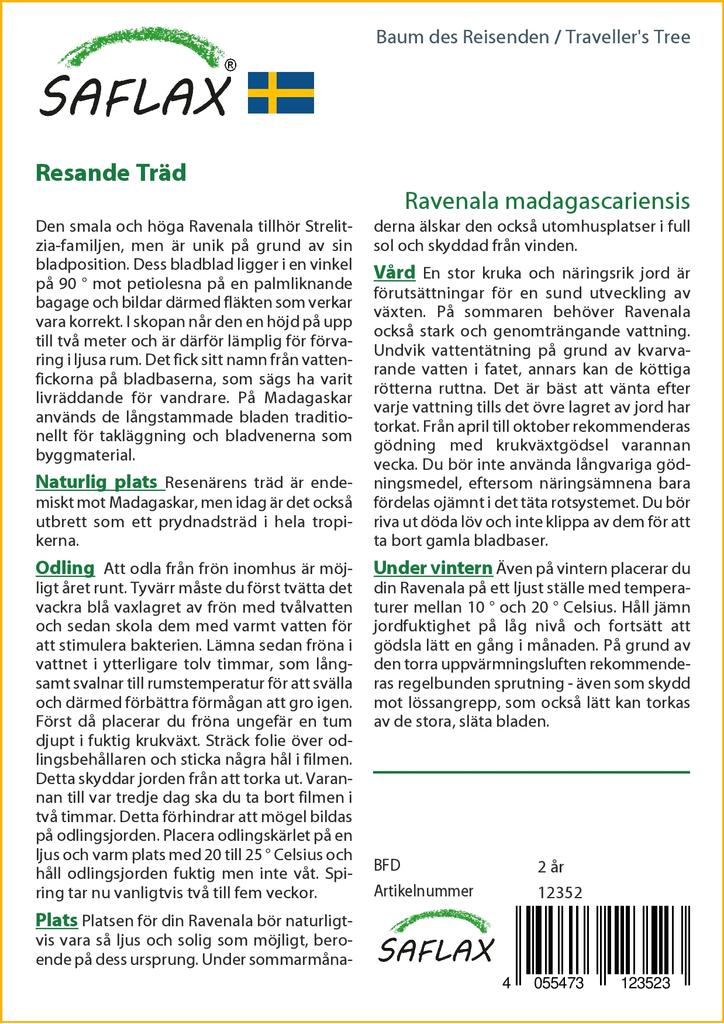 SAFLAX Gift Set - Traveller's Tree - 8 Seeds - With Gift Box, Card, Label and Potting Substrate - Ravenala Madagascariensis