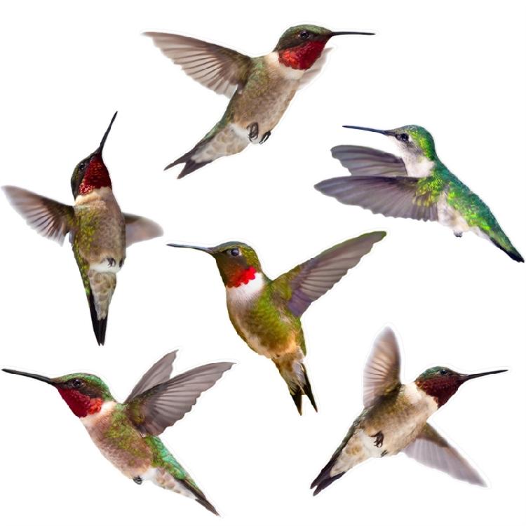 Stylishs Bird Decals for Glass Set of 2 Window Stickers for Safety Decors