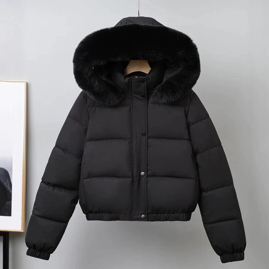 Europe, America and the United States winter new women's fashion short down cotton-padded jacket hooded big fur collar student cotton-padded jacket