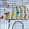 Warm Bird Nest Bed Hammock House Perch for Parrot Parakeet Finch Canary Cage