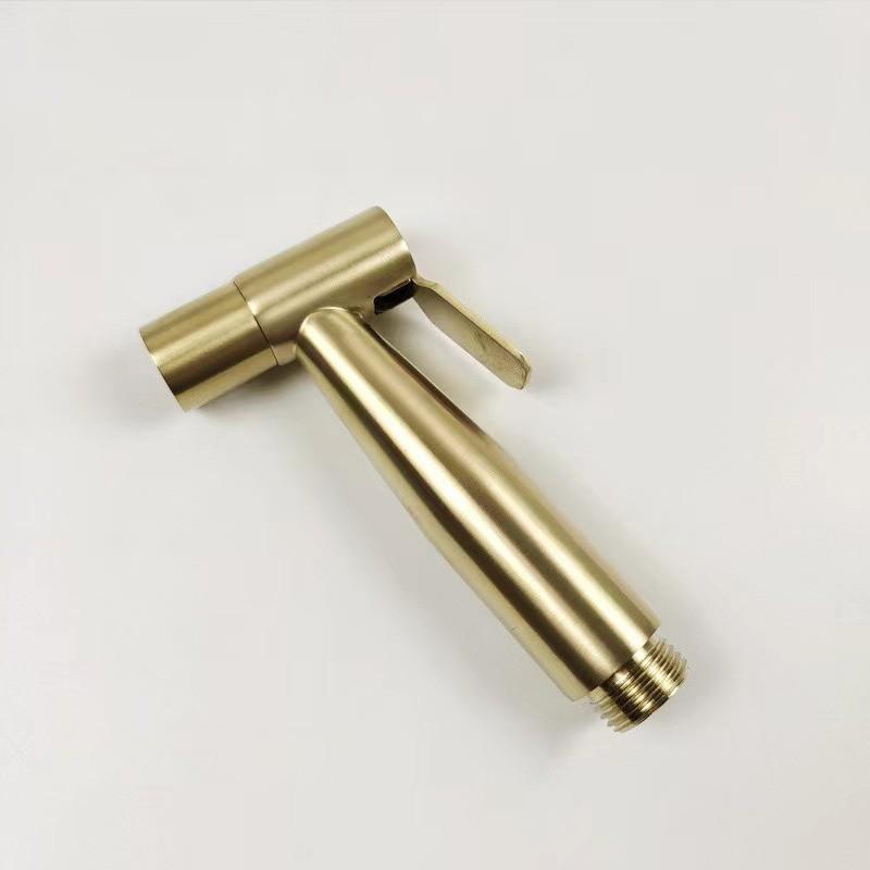 Stainless Steel Bidet Sprayer Set - Toilet Companion & Booster Shower Head