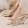 Fashion Bride Wedding Shoe Pointed Toe Shoes for Women Low Heel Elegant Woman Pumps Stilito Fashion Slip On Non Spring Beau Today Dress