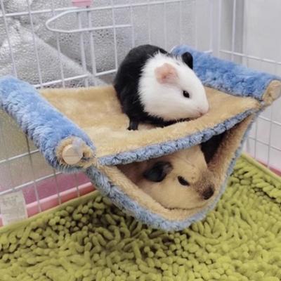 Produse pentru animale – Rozătoare