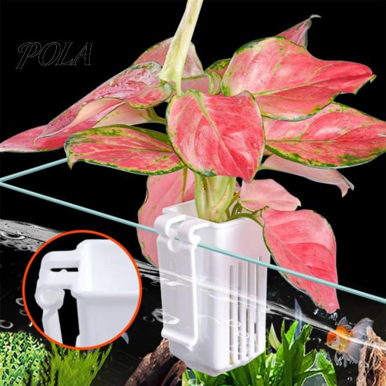 Plastic Plant Cup Tank Container, Hydroponic Holder, Wall Mounted Holder Aquatic Pot, Aquarium Planter Pot Fish Decoration