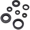 FZJDSD Engine Crank 7 Piece Oil Seal Set Kit Compatible with Yamaha Blaster 200 YFS200 1988-2006 Replace M564-A029