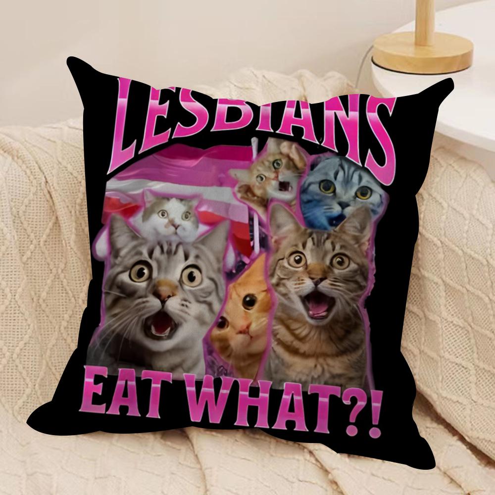 Funny Lgbtq eat what Cushion Cover Soft Plush Fabric DoubleSided Printed Cushion Covers for All Seasons Modern Home Decor