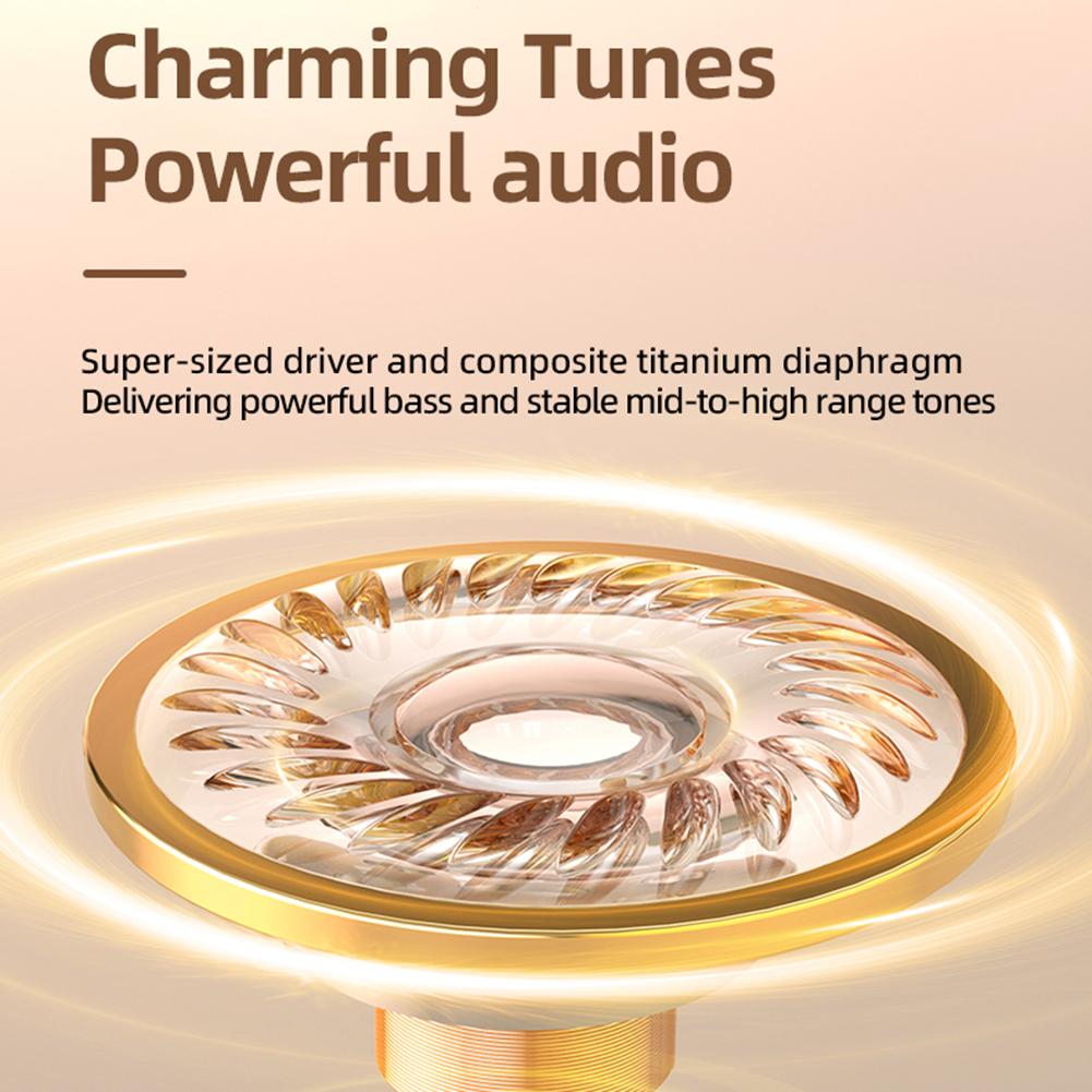 AI Translator Earbuds Bluetooth 5.4 Real-Time Translator Headphones Two-Way Instant 142 Languages Voice Translator Ear Hook