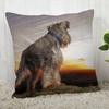 Pillow Cover Customize Schnauzer Pillow Case Modern Home Decorative Pillowcase For Living Room 45X45Cm,40X40Cm A.4.29