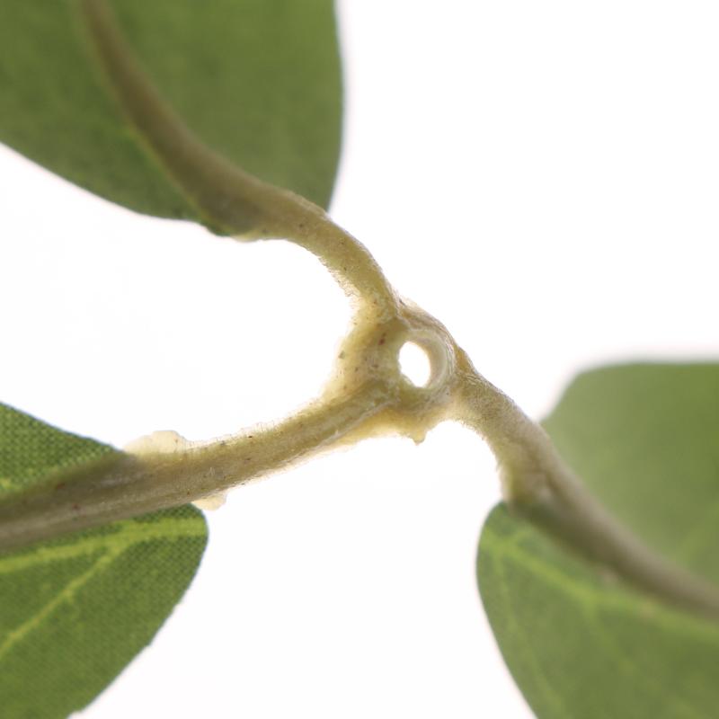 50/100/150 Stück Künstliche Rosenblätter Künstliche Pflanzen DIY Handarbeit Kuchen Hochzeitssträuße Kranz Festival Dekoration Zuhause Zimmer Scrapbo