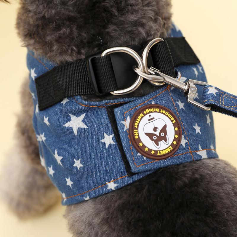 Pet Supplies: Cowboy Leash, Leash, Dog Leash, Dog Chain, Teddy Chest and Back Dog