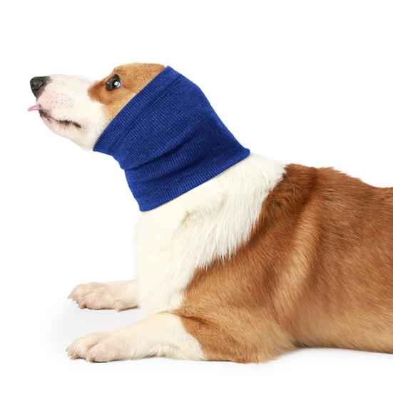 dog ear warmer