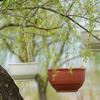 Fashion Garden Decoration Hanging Flower Pot Round with Chain Plant Basket Hanging Basket Home Decor Plant Pot