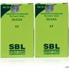 HOMOEODEAL S.B.L Silicea 6X Tablets 25gm | Pack of 2 | - Homeopathic Remedy for Skin, Hair, Nails & Healthy Immunity