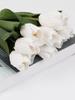 6 pezzi di tulipani fiori artificiali per la decorazione tulipani finti dall'aspetto reale fiori al tatto reali composizioni floreali per tavolo casa ufficio decorazioni per matrimoni