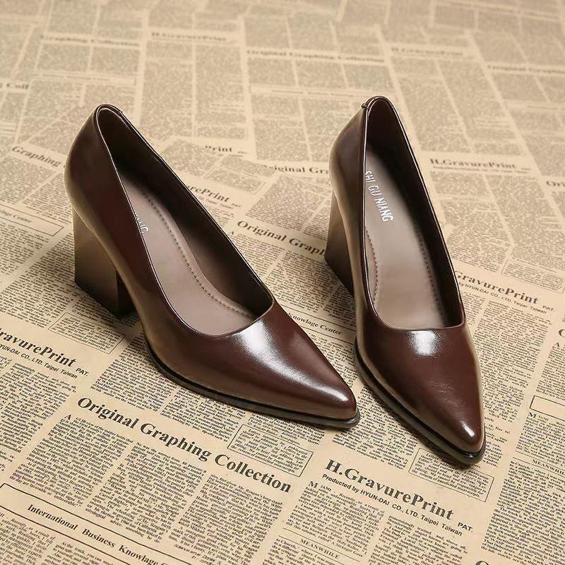2025 Winter New French Style Fashion Pointed High Heels for Women, Shallow Mouth Pointed Coarse Heels, Single Shoes for Women 35