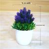 Creative Home Decor: Artificial Bonsai Grass Balls and Mini Cherry Snow Ball Trees
