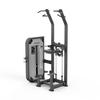 Shua SH-G6851 Assisted Pull-up Trainer