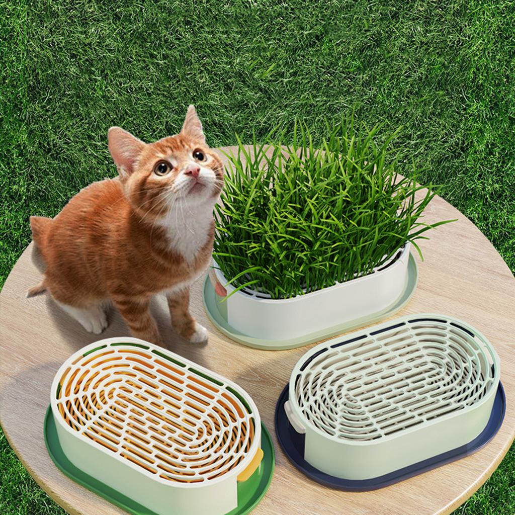 Pet Cat Grass Planter Box With Drain Holes Multifunctional Hydroponic Planting Tray Greenhouse Wheatgrass Growing Pot