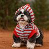 Warm Striped Dog Hoodie Cartoon Pattern Dog Base Coat Winter Dog Clothes  for Autumn Winter