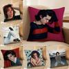 Conan gGray Singer Pillow Case DoubleSided Plush Sofa Cushion Covers Organic Breathable Invisible Zipper