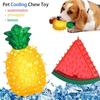 Brinquedo de mastigar refrescante para animais de estimação, brinquedo reutilizável para cães e gatos, dentição, melancia refrescante de verão, abacaxi, limão, gelo durável, frutas congeladas, brinquedos em forma de frutas