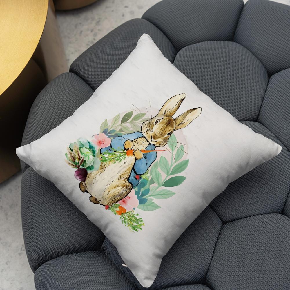 P-Peter Rabbit printing Cushion Cover 2-in-1 Reversible Plush Pillow Cover | Car/Sofa/Bed | Perfect Gift